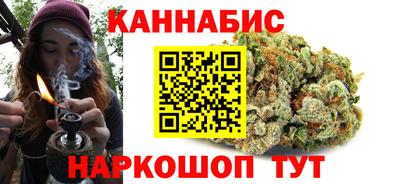 крисы Гатчина