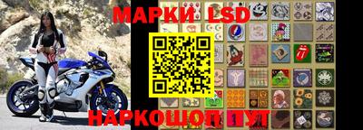 крисы Гатчина
