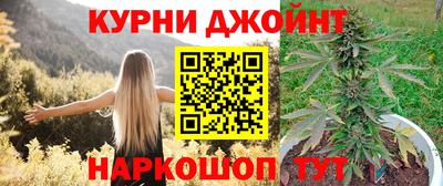 крисы Гатчина