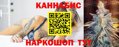 крисы Гатчина