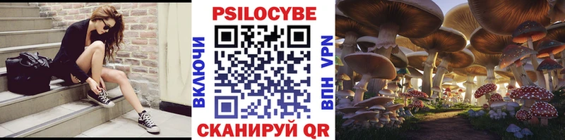 мега рабочий сайт Михайловск это официальный сайт Псилоцибиновые грибы GOLDEN TEACHER