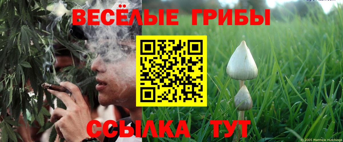 Галлюциногенные грибы Magic Shrooms Михайловск